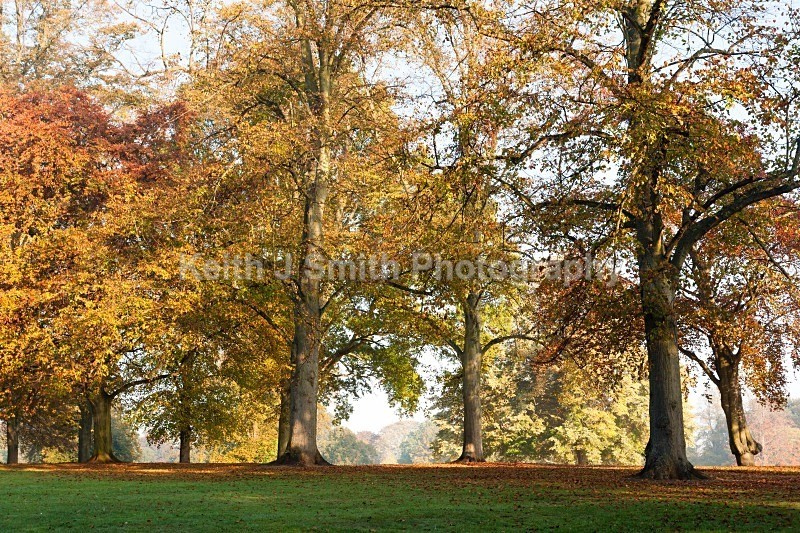 YR6M2619 (RM) - Abington Park & Northampton Town.