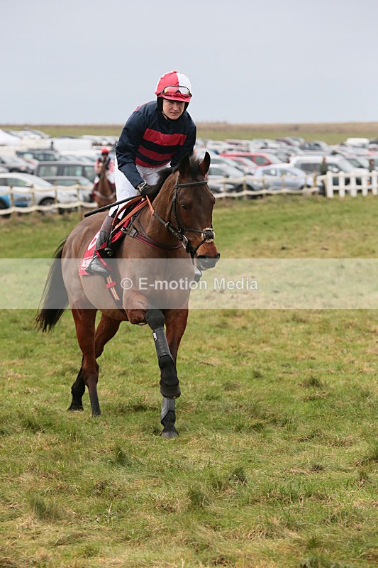 PtP 060119 79 - Larkhill Racing Club - Point-to-Point- 06/01/2019