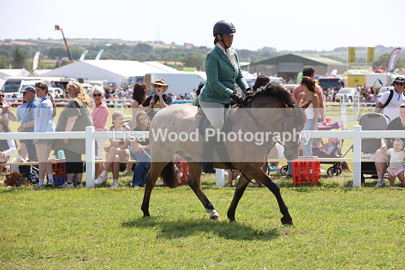 JPP_3338 - Class 22: Working Hunter 70cm