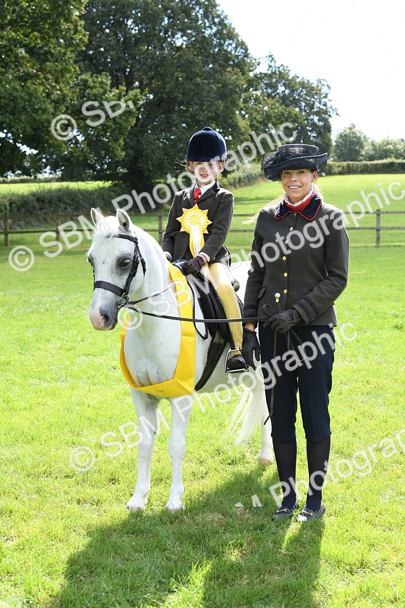 SBM_42638 - S20 - Lead Rein Mountain & Moorland Pony