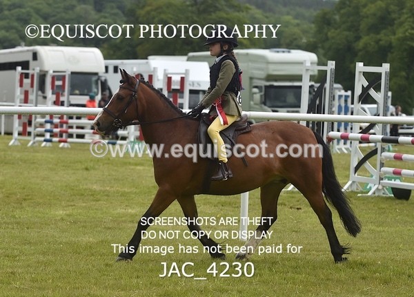 JAC_4230 - WORKING HUNTER CHAMPIONSHIP