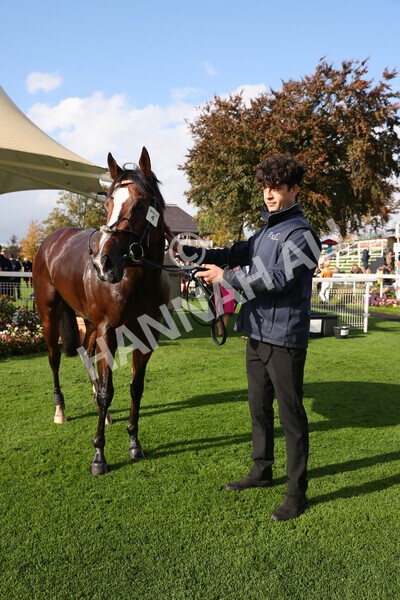 yr07102022r3-60 - Race 3 3.15pm British EBF £100,000 2yo Series Final (Colts and Geldings)