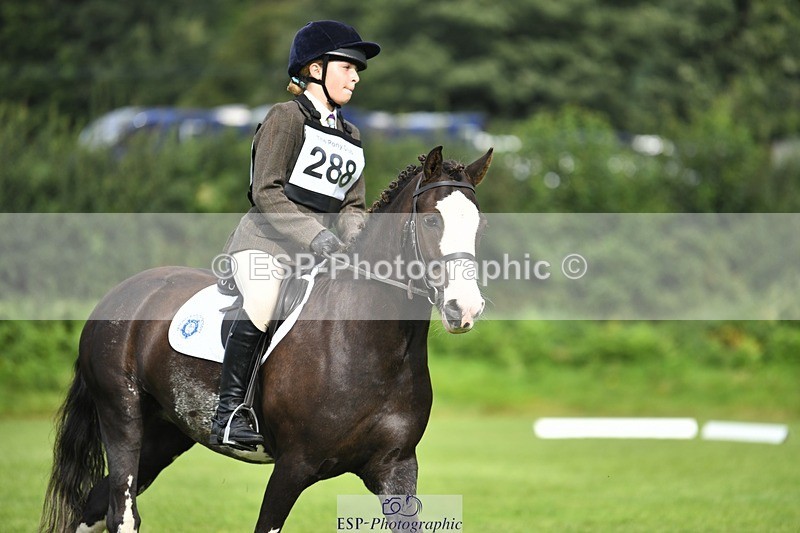 230826-100328-15345 - Sections C & D 9 to 10am