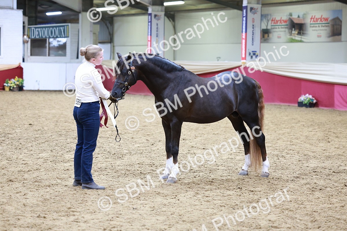 SBM_18949 - M&M Supreme Final champ