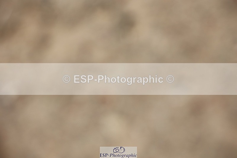 250621-131856-09142 - Cls 39 - Freestyle PSG+Young Rider