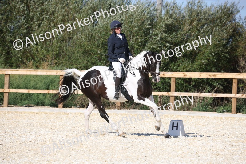 20260905-1569 - Class 5 - Novice 2