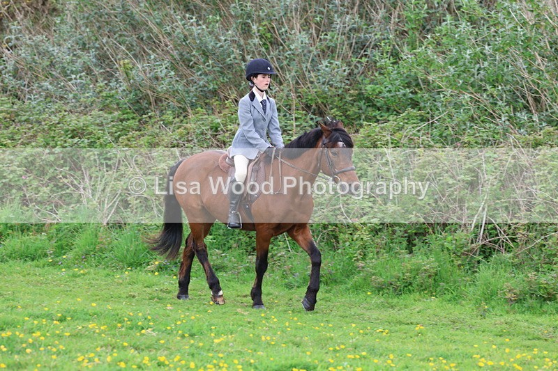 3E7A1500 - Class 8: Ridden Veteran Junoir and Senior