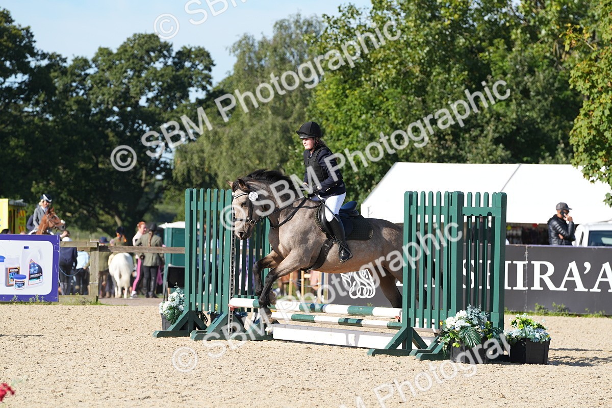 SBM_36134 - J 20 - Junior Horse 50cm Championship