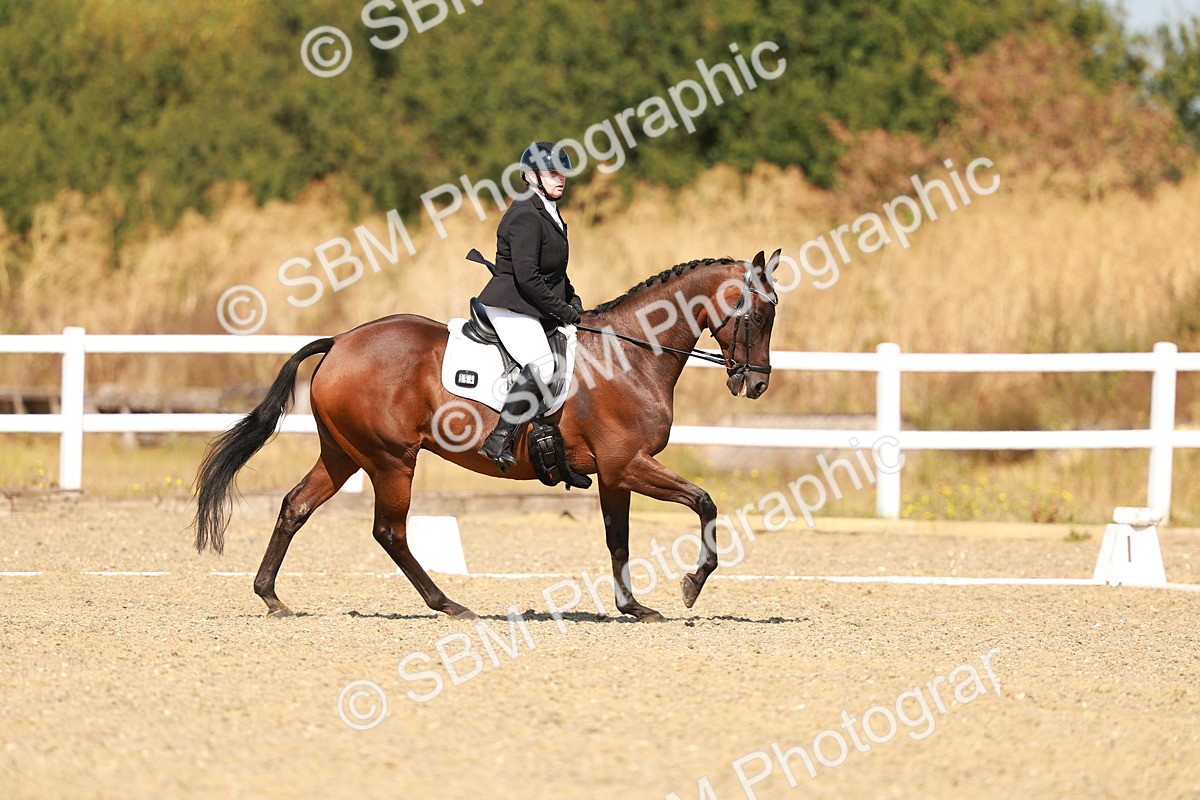 SBM_017728 - Class 9 - N5 Bronze 10.33.11.36