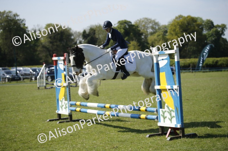 20250427-2010 - Class 13 - Novice Jumping 60cm