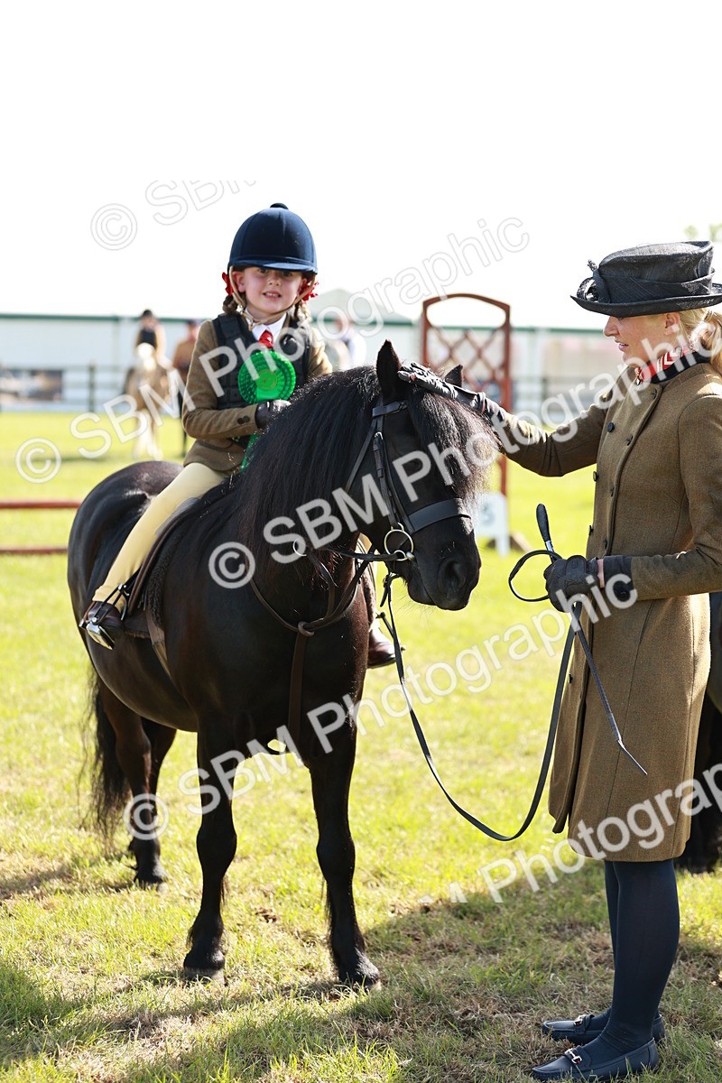 SBM_11316 - Class 106-107 - BSPS LIHS Working Sports Pony