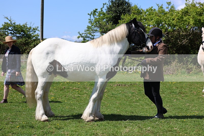 3E7A0327 - Class 19: Best Coloured in Hand