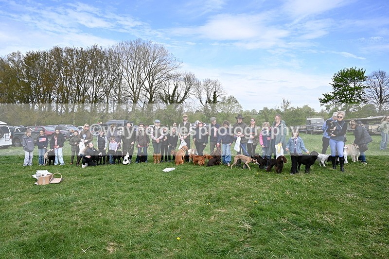 WJ6_9183 - Class 8 Best Working / Gun Dog or Bitch