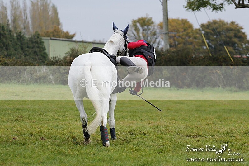 WWHT 181020 WWHT 181020 656 - WWEC Open Novice (0.80m) 18/10/20