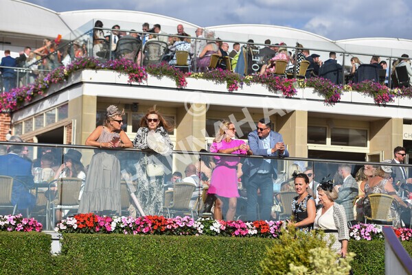 yr20082022r7-18 - Race 7 5.20pm Sky Bet Finale Stakes