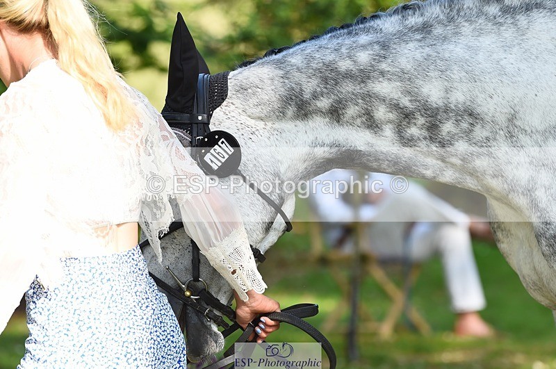 230524-170000-01230 - 167-COR_Y_TARAN-Toots_Bartlett-WEDTrotUp+DR