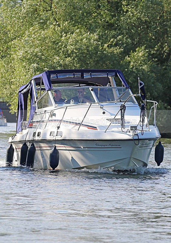 140703 CHAMPAGNE SUPERNOVA WT7A9206 - HENLEY ROYAL REGATTA - THURSDAY 3RD July 2014