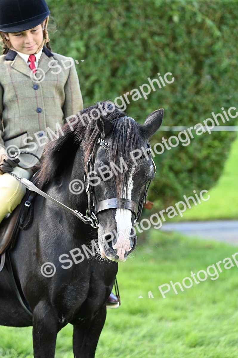 SBM_02832 - S3 - TSR Ridden Pony Showing