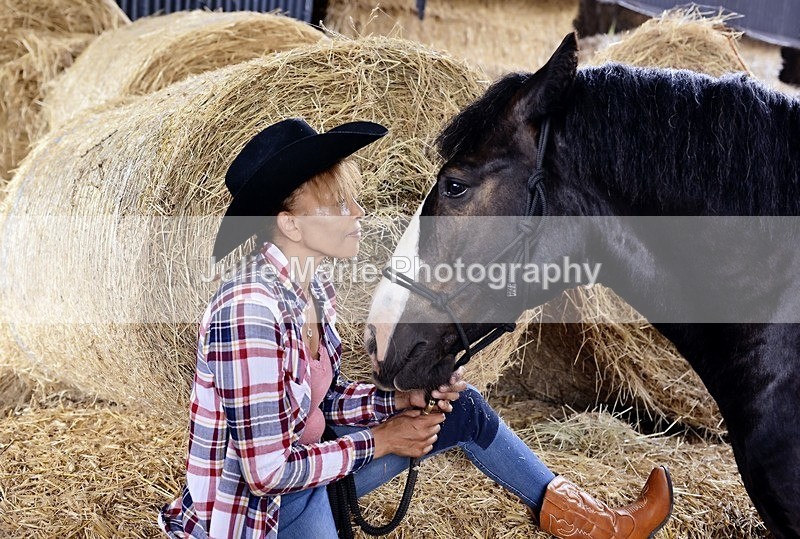 _DSC1878 - Equine Photography