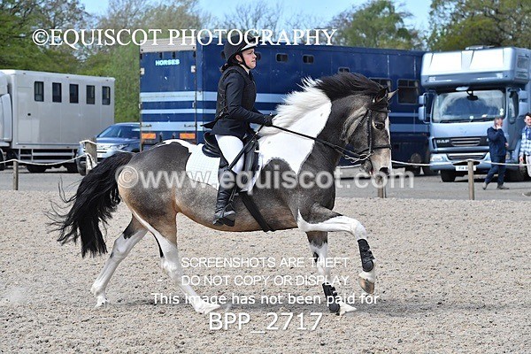 BPP_2717 - FRI CLASS 4 95CM AM CHAMP QUAL
