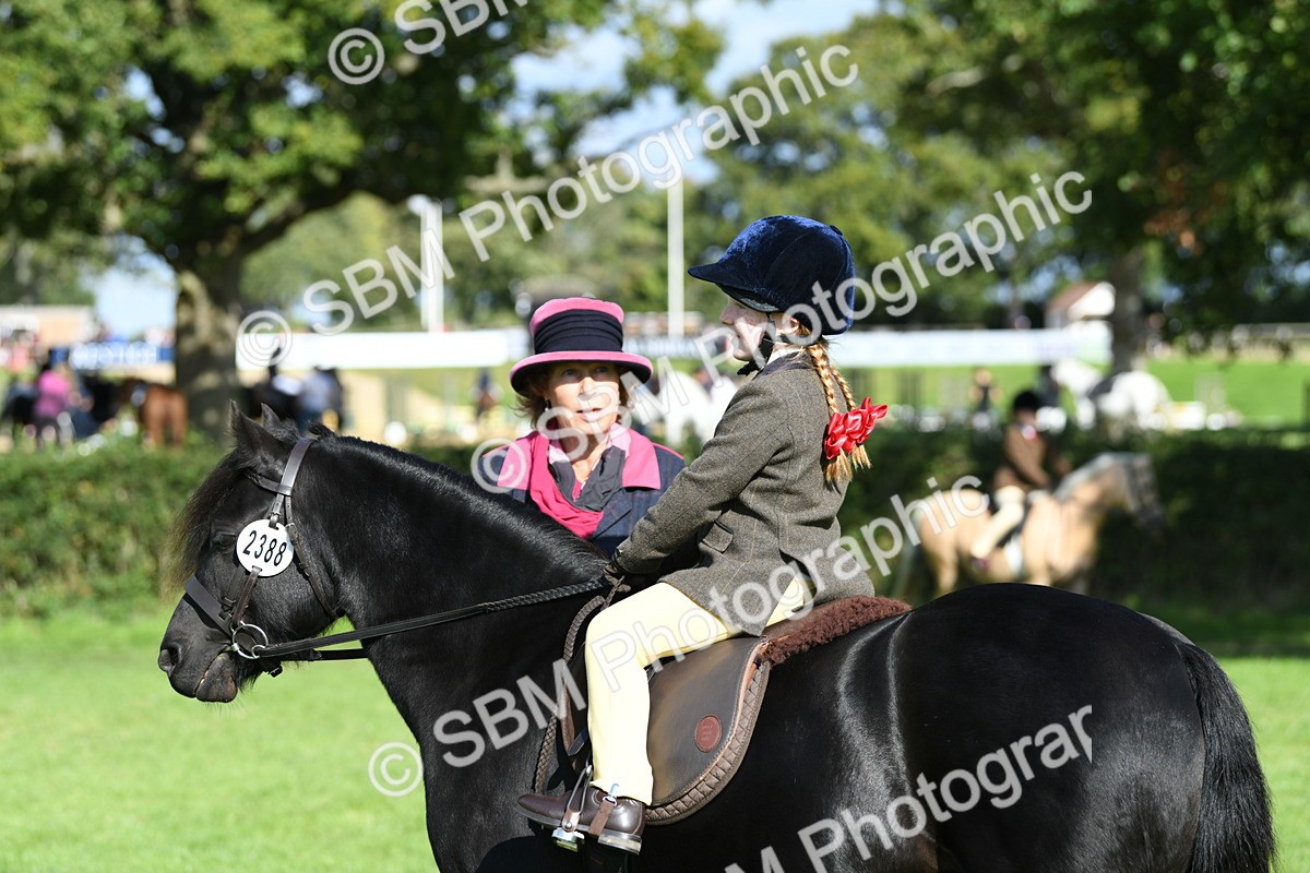 SBM_50335 - S21 - Novice & Newcomers 1st Ridden Pony