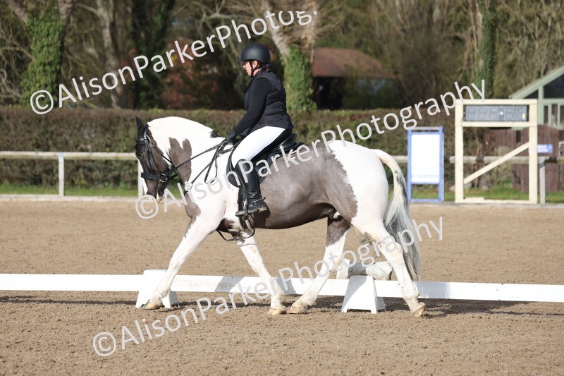 20260128-0441 - Class 4 - Novice 5