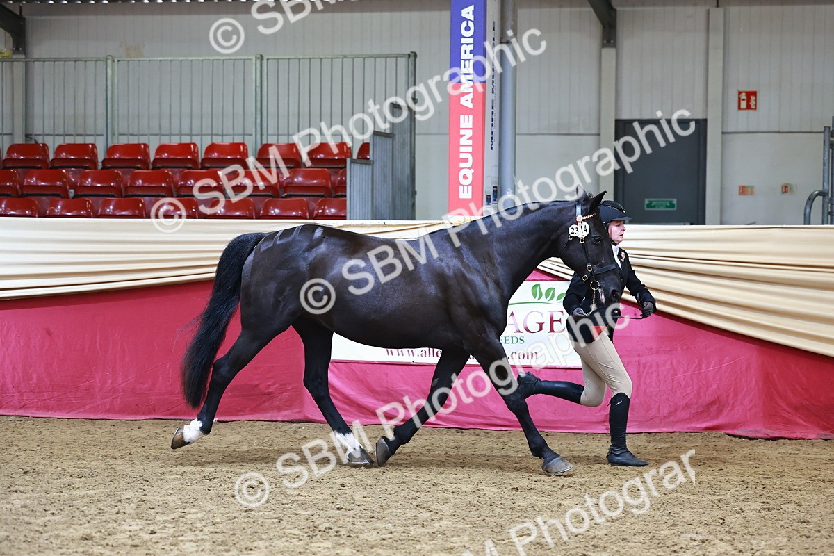 SBM_22242 - Class 902 - Supreme Final - IH Diamond