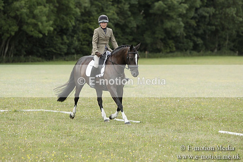 BVR160717-2074 - Class 4 & 5 Dressage 16/07/17