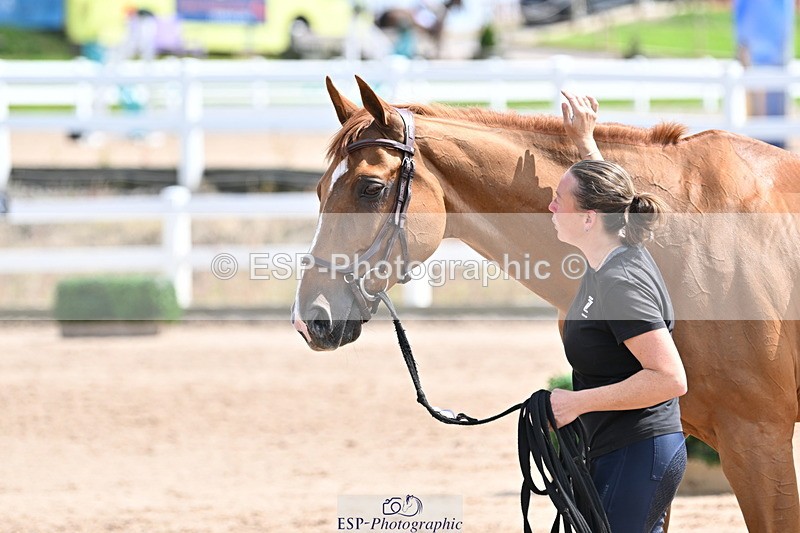 240717A-145336-02377 - Trot Up 2pm to 3pm - This folder is not in time order