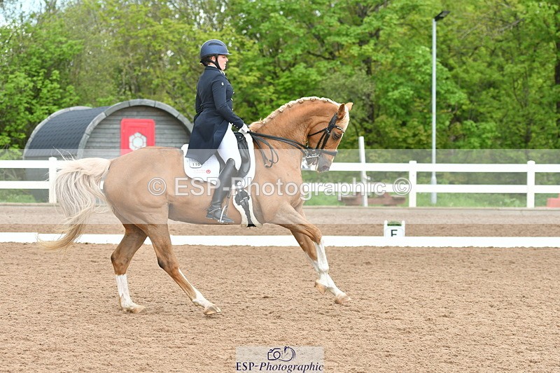 230511A-160620-01298 - BD Cls 18 FEI PSG