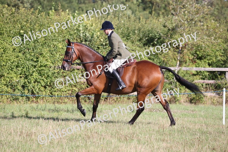 20260906-0396 - Class 14 - Ex Racehorse