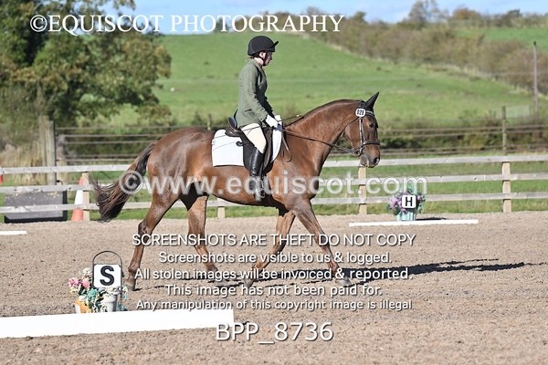 BPP_8736 - SHORT ARENA INTRO 2