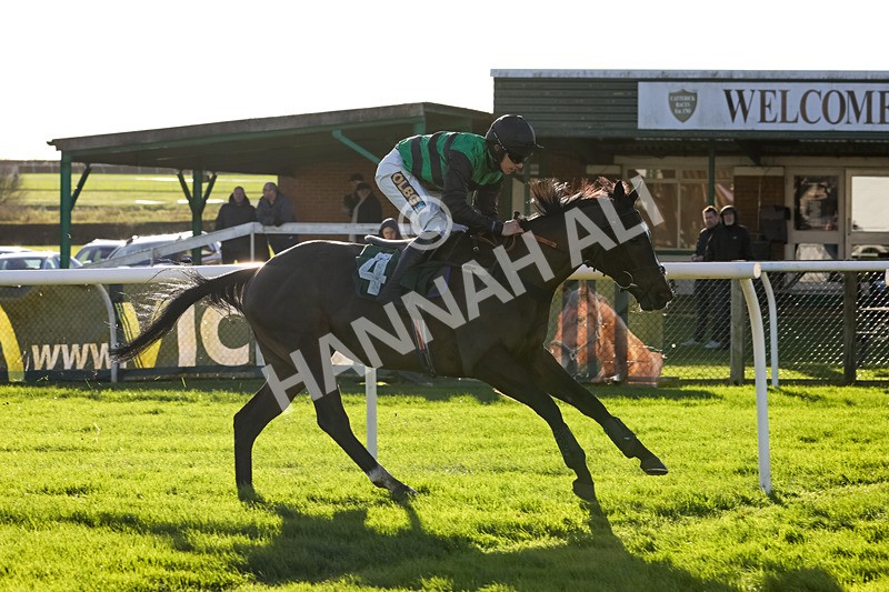 241123-Race 2-Latin Verse-0914 - Race 2