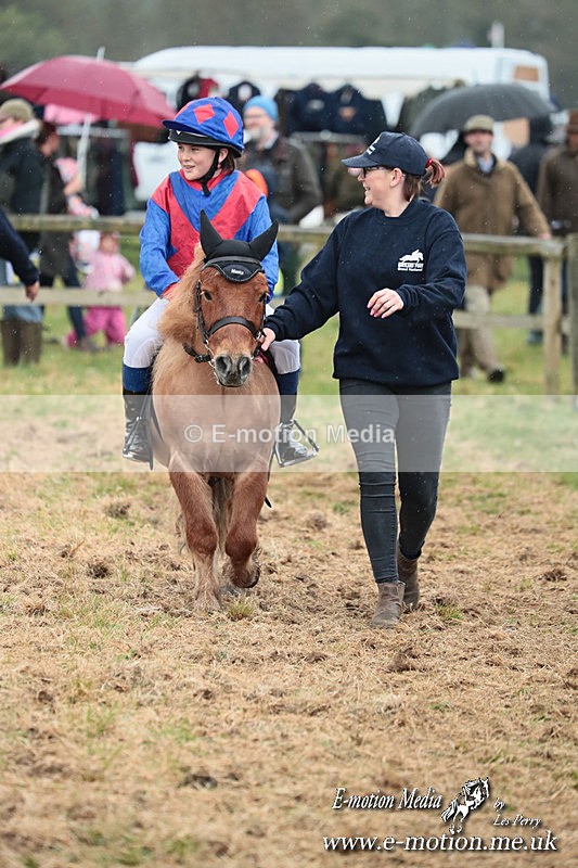 SHETPR 210425 59 - Shetland Ponies Paxford Races 21/04/25