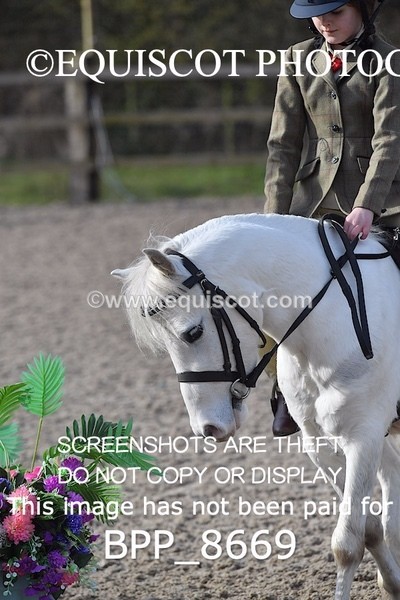 BPP_8669 - TRAINING STAKES