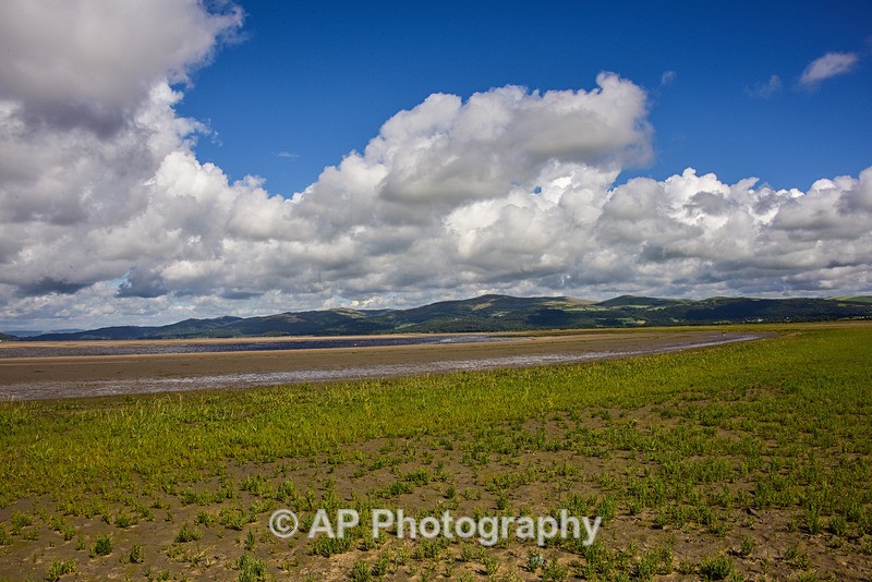 ACP_2372-1 - Ynyslas