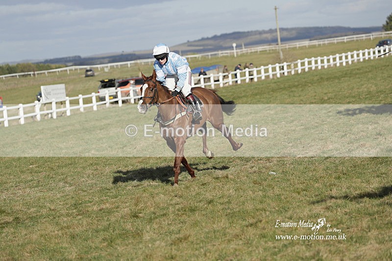 PtP 260223 1206 - South & West Wilts Point-to-Point Larkhill 26/02/23