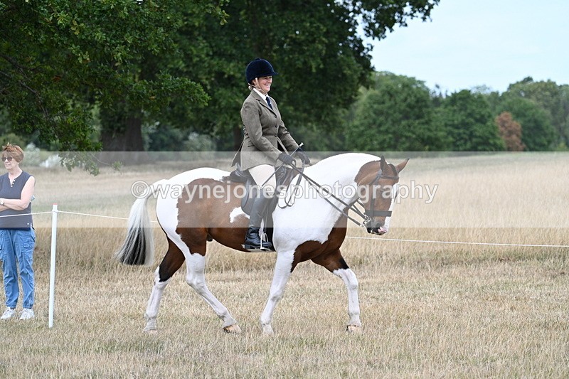 WJ7_4837 - Class 12 Ridden Cob