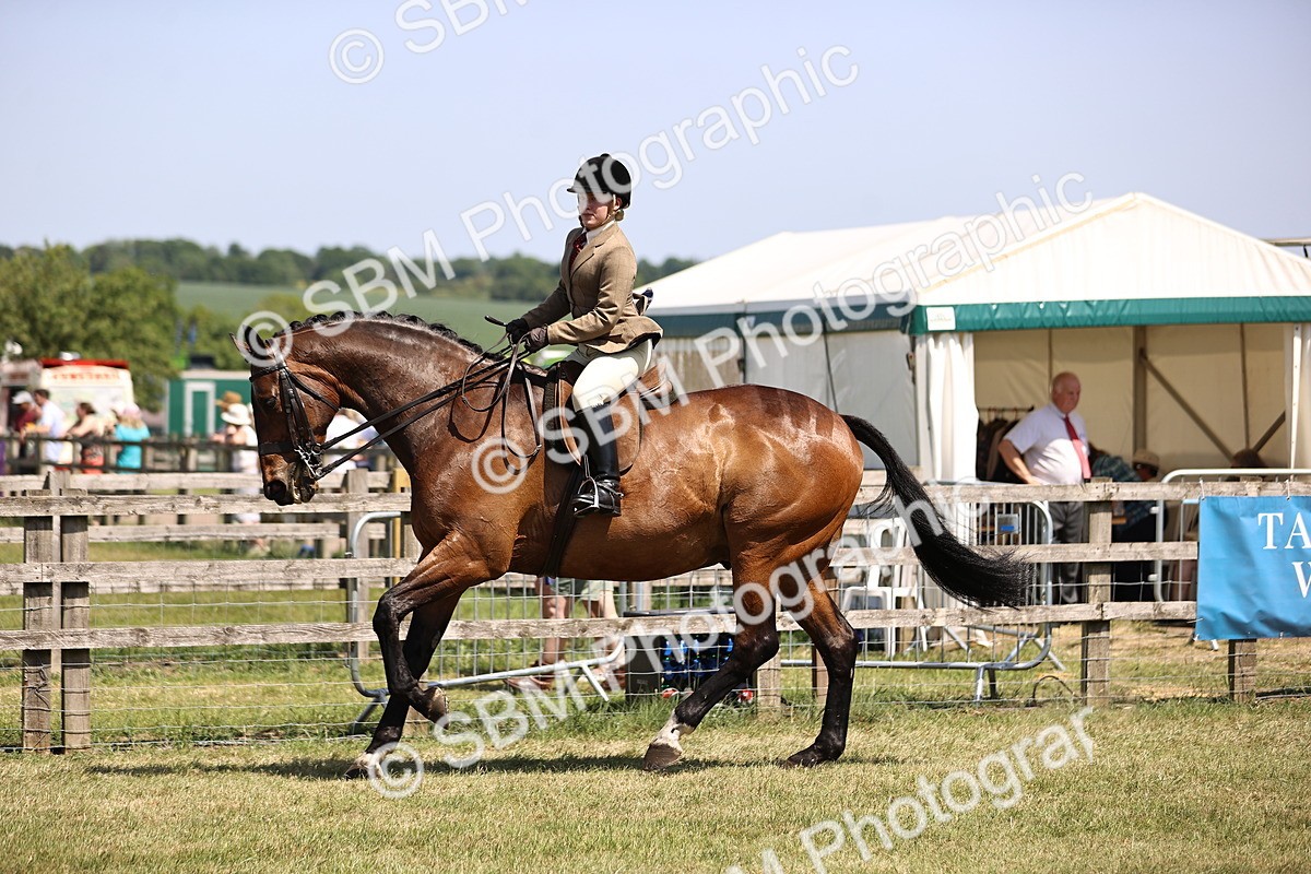 SBM_17726 - Class 81-83 - TSR Ridden Amateur of the Year - Horses