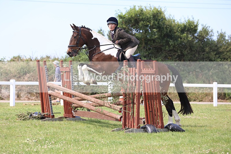 JPP_3647 - Class 23: Working Hunter 80cm