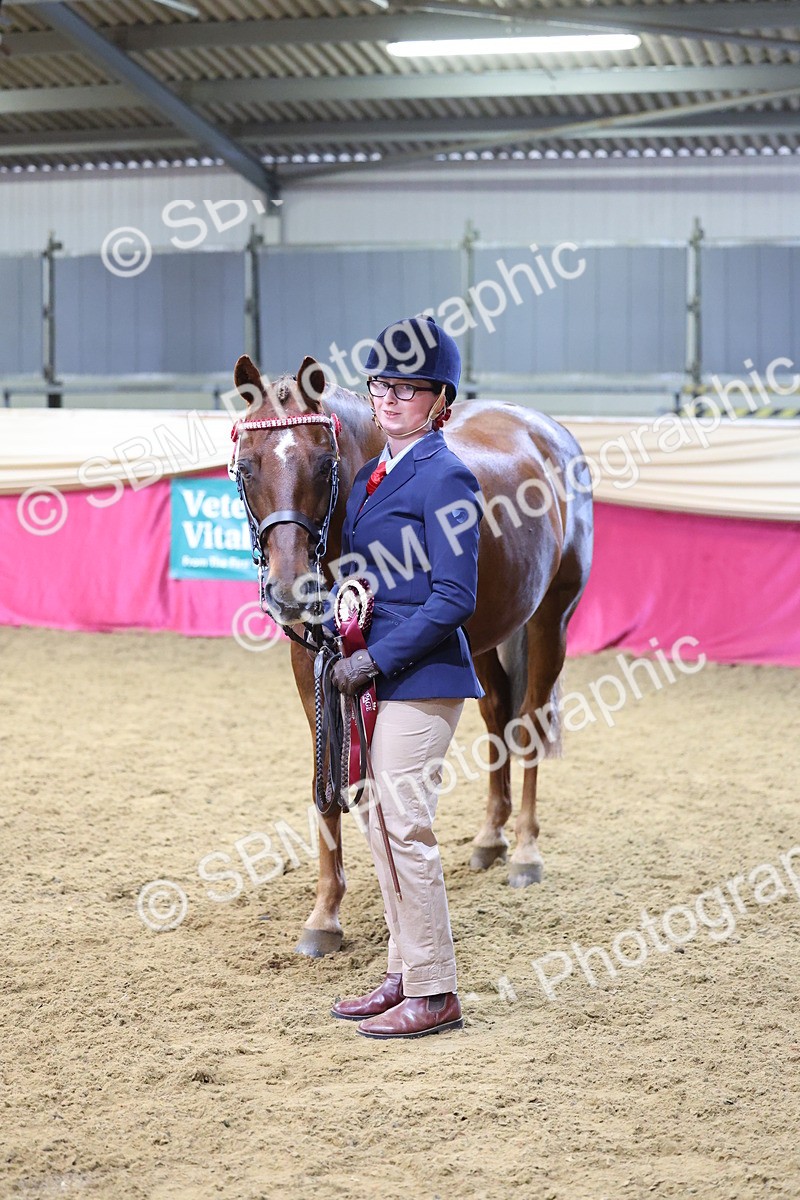 SBM_21175 - Class 902 - Supreme Final IH Veteran