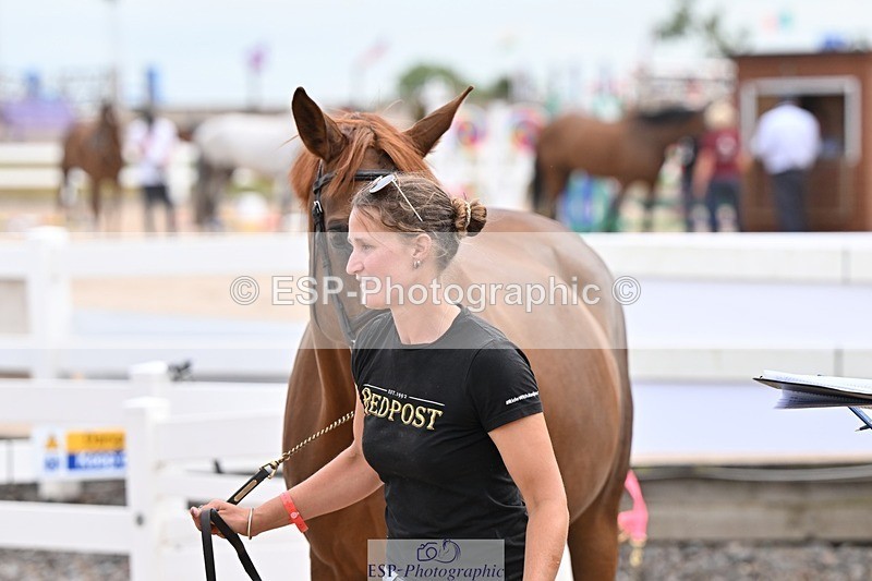 250716-143022-01139 - Trot Up 2.30 to 3.30