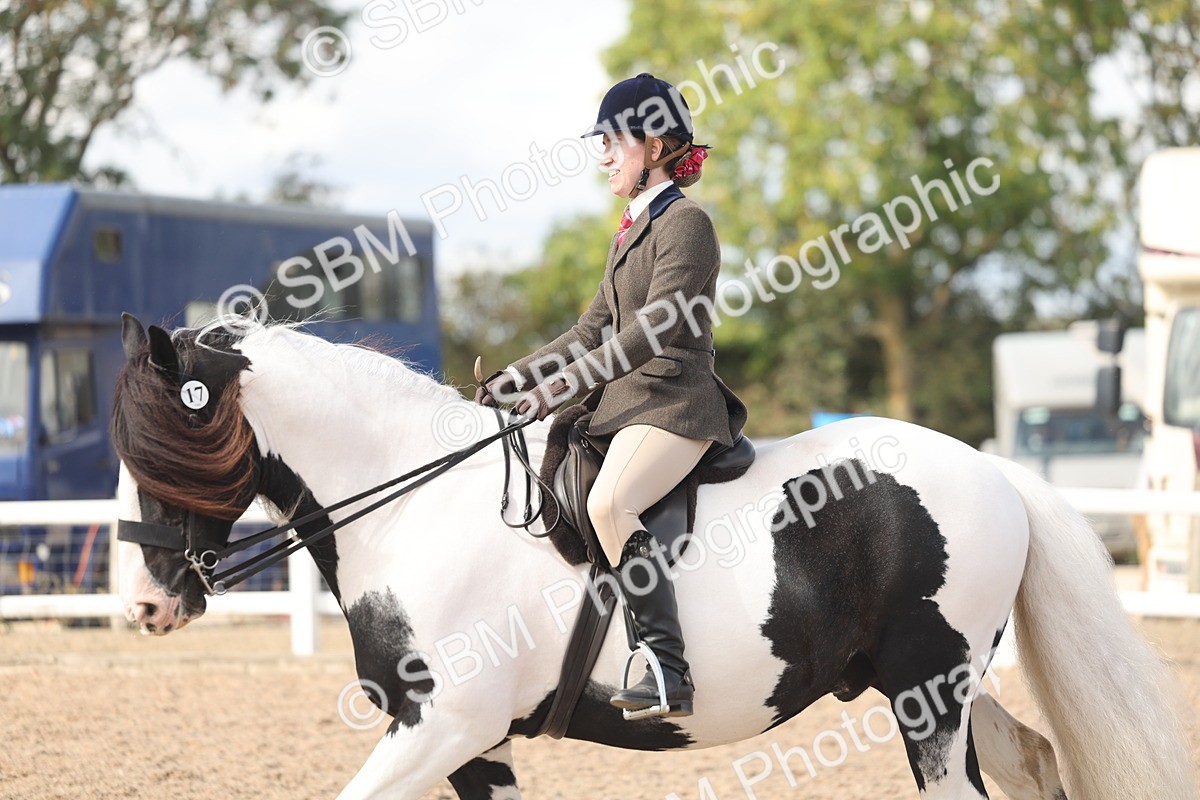 SBM_14826 - Class 308 - Ridden Coloured Horse