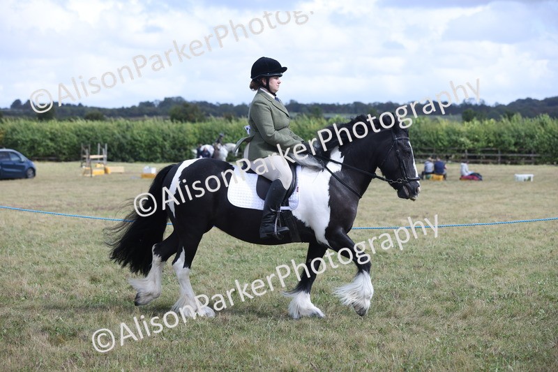 20250831-4177 - Class 20 - Ridden Coloured