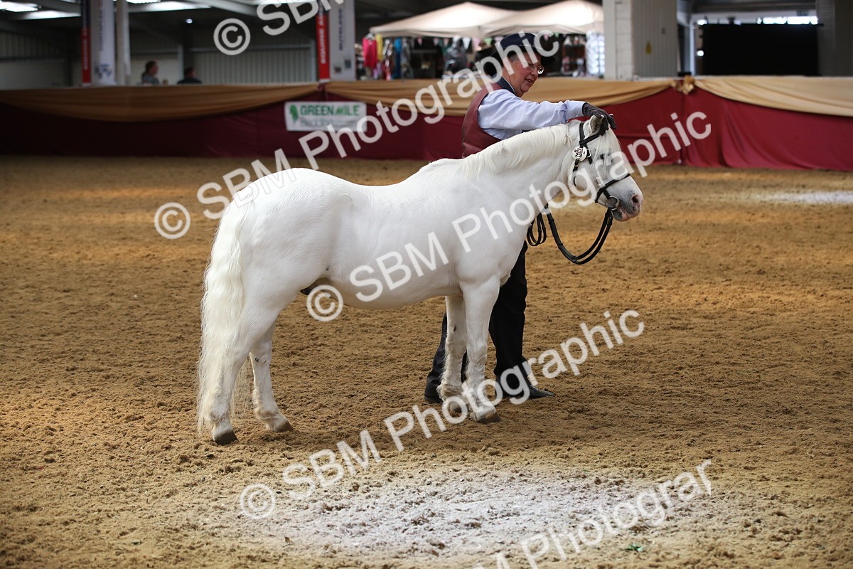 SBM_05440 - Class 8R - Regional IH Veteran