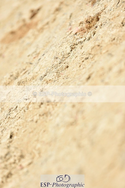 230706-134108-03138 - Cls 6 Newcomers & 1.10m Open