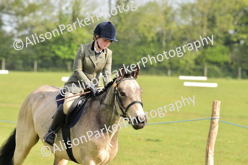 20260426-0856 - Class 18 - Novice Showing