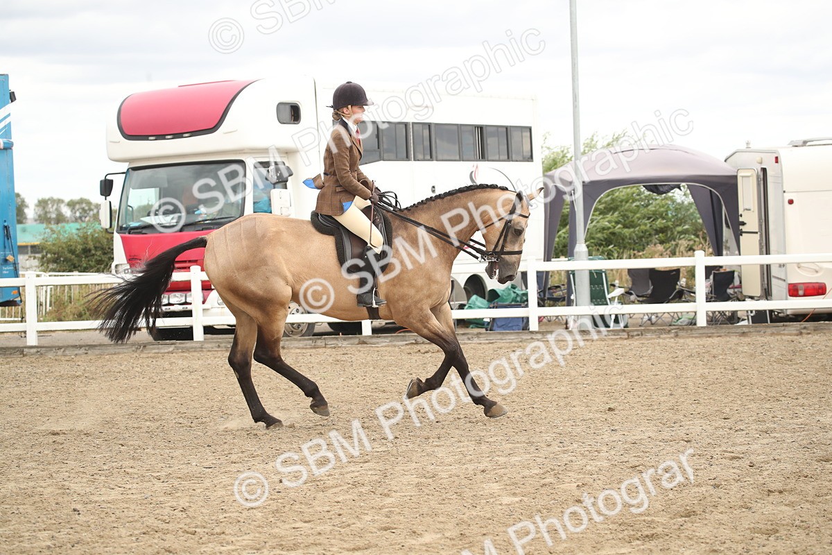 SBM_16666 - Class 507a - Working Veteran - 60cm (15-19)