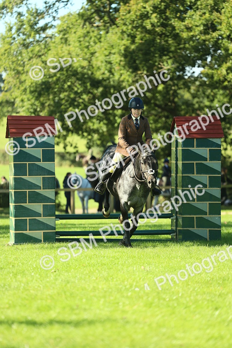 SBM_36473 - S29 - Novice & Newcomers Working Hunter Pony