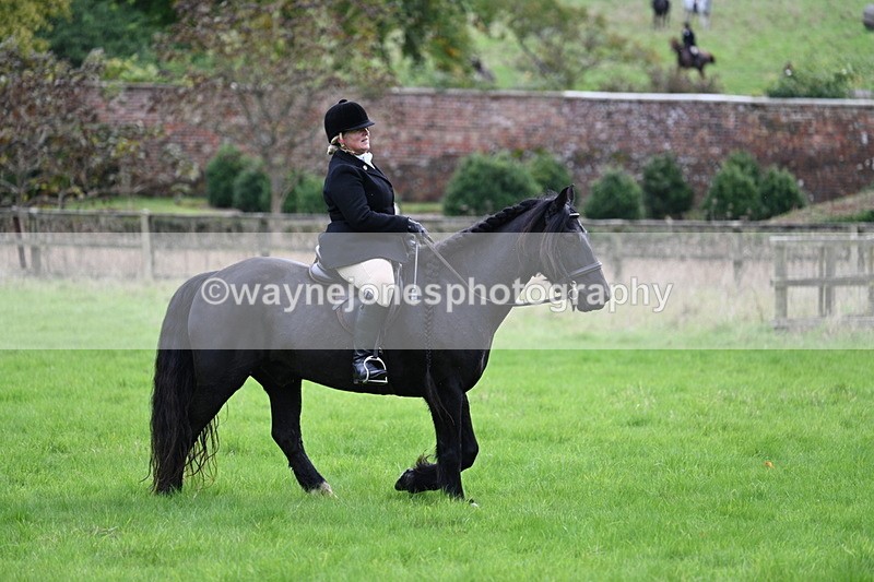 WJ7_4650 - Camera 1 Line 3